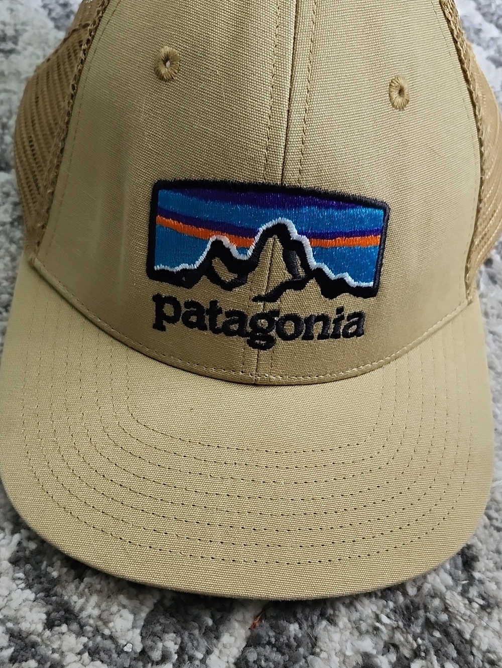 Patagonia P6 Trucker Hat in Gumtree Green with Multicolor Mountain Patch OSFA